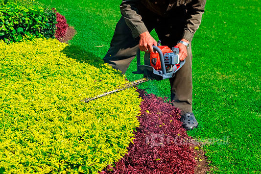 Trabajar con lo que Amamos: El Arte y el Placer de la Jardinería